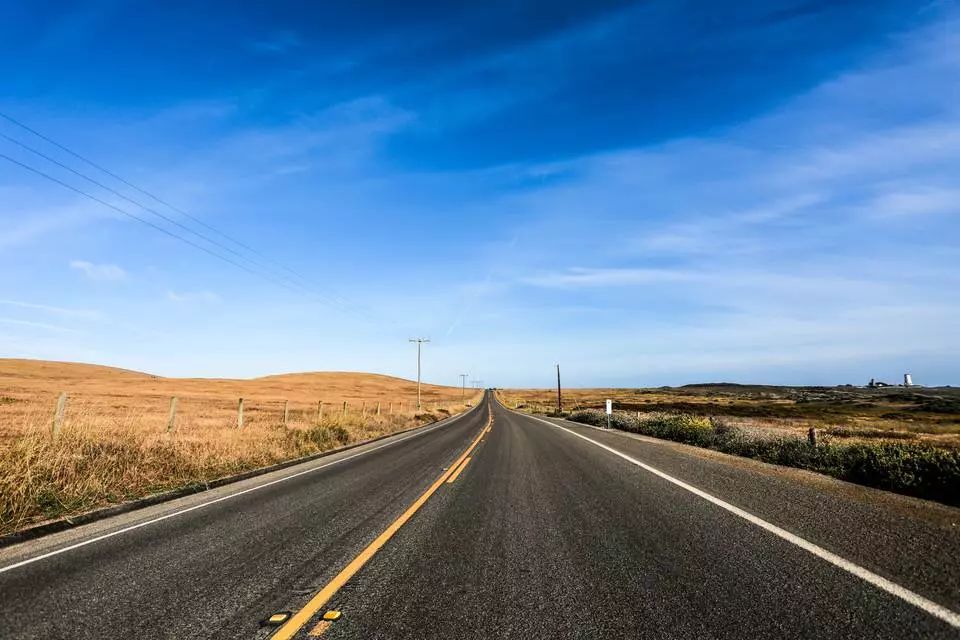 偷了价值10万的多肉,偷多肉可耻吗