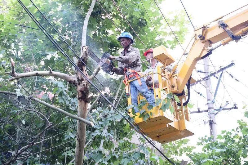 玛利亚台风最新消息,玛利亚的暴风雨