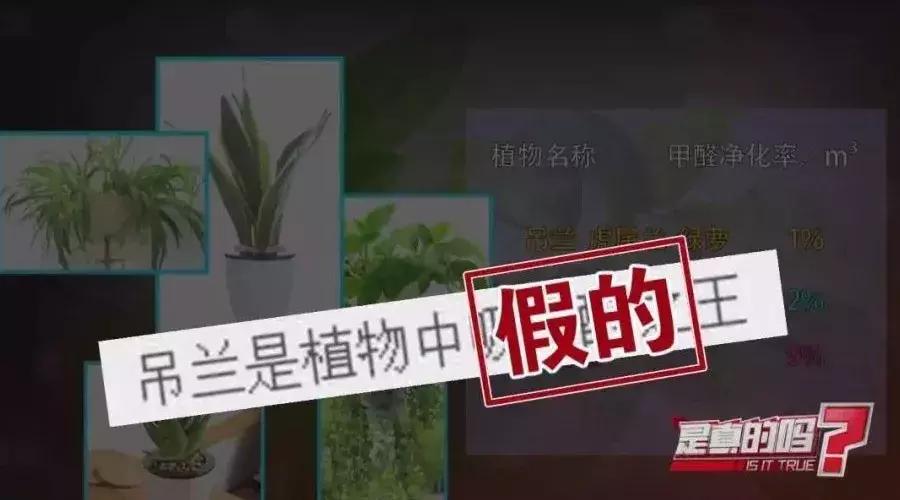 我不是药神白血病学名,我不是药神讲的什么白血病