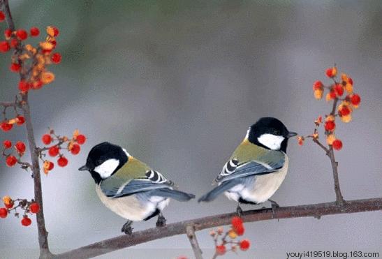 10月16，观音赐福了，快接住，谁打开谁幸福，福福福福福福福福