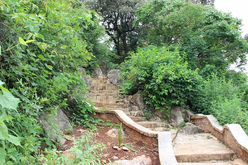 「发现」跳上生态旅游的“舞台”——看泸西阿平村如何美丽嬗变~