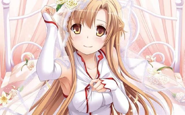 动漫中本子多到看不过来的几位美女角色，最后一位已经被玩坏了