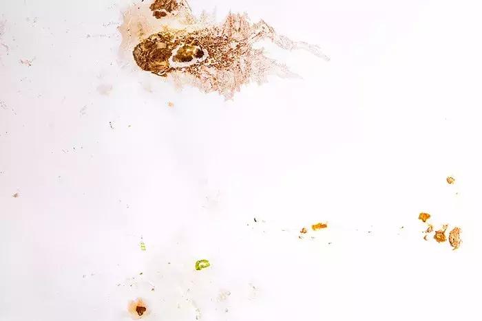 jack鍟嗕笟,jack鎽勫奖浣滃搧