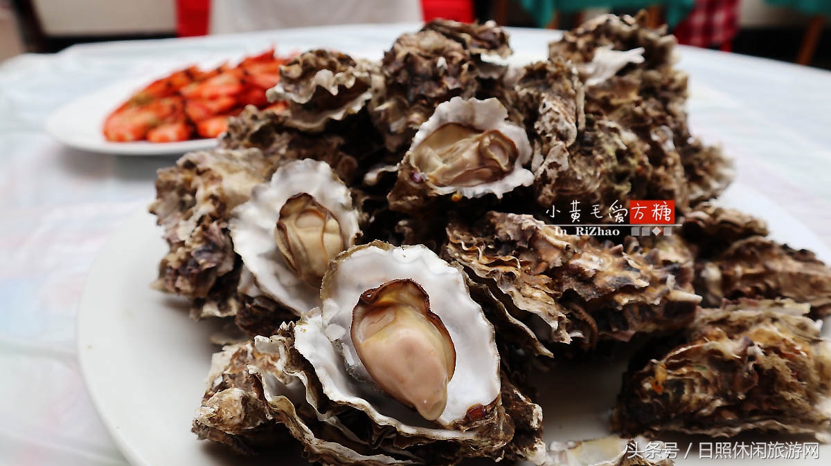 日照浴场海鲜攻略,日照海滨浴场旅游攻略