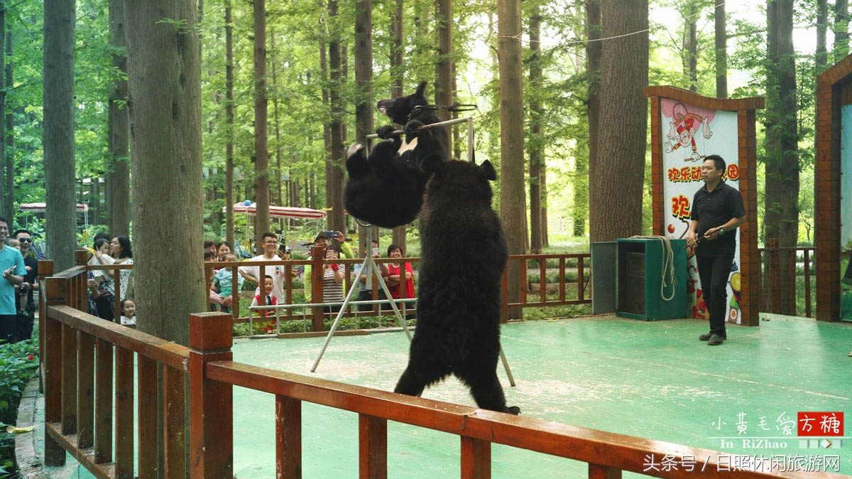 日照浴场海鲜攻略,日照海滨浴场旅游攻略
