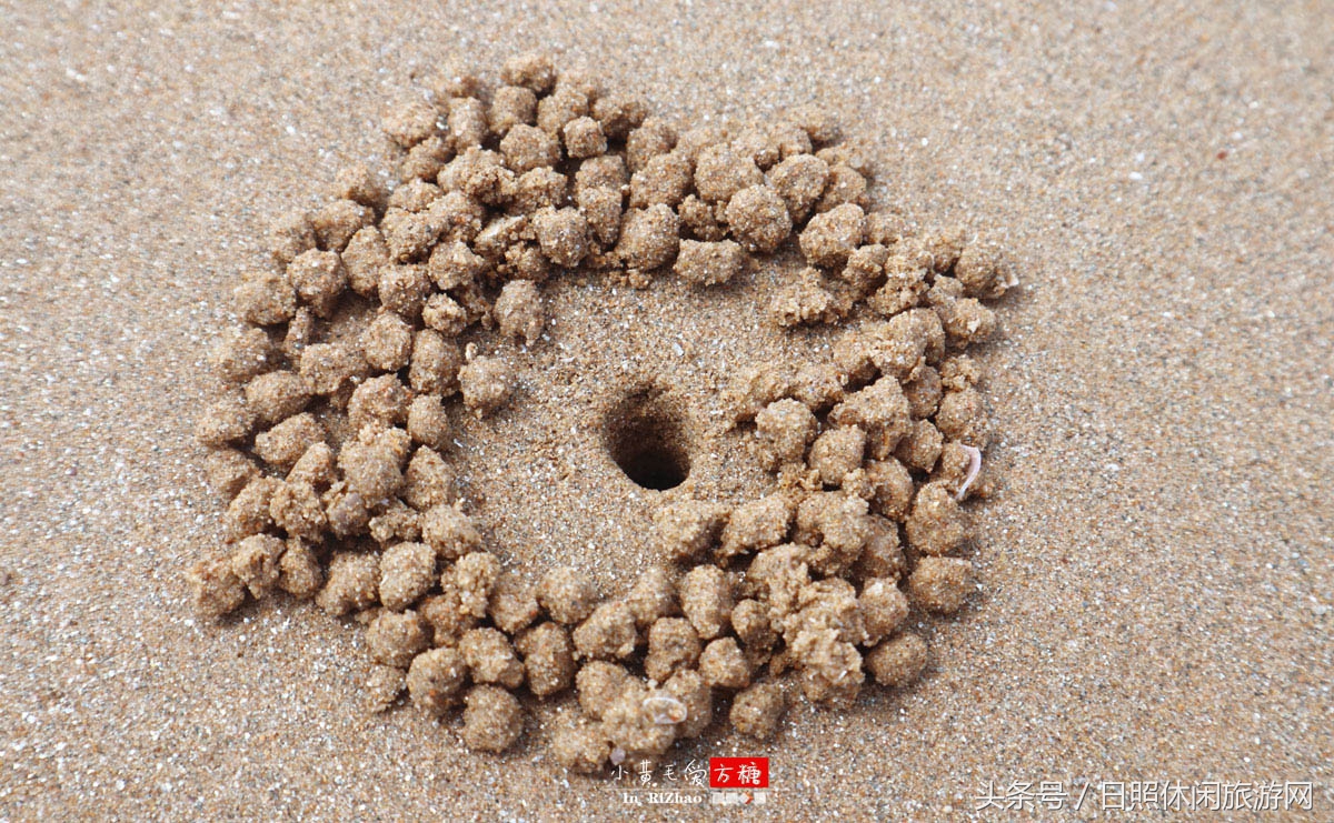 日照浴场海鲜攻略,日照海滨浴场旅游攻略