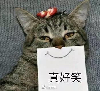 赢在起跑线上的孩子视频搞笑,萌娃发量惊人好像蒙奇奇