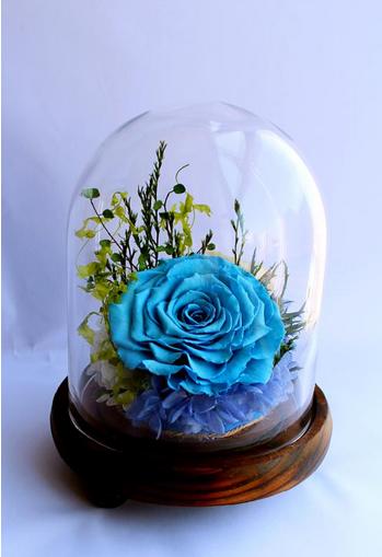 想要鲜花又心疼钱,想要鲜花就有鲜花