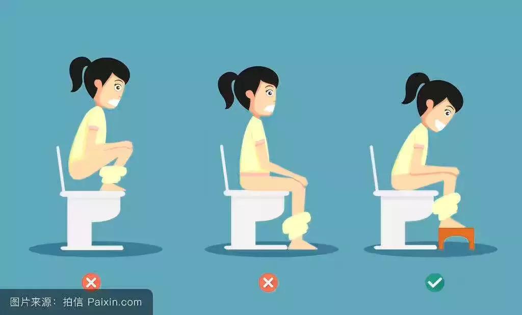 中医诊断学——“观大便,识健康”