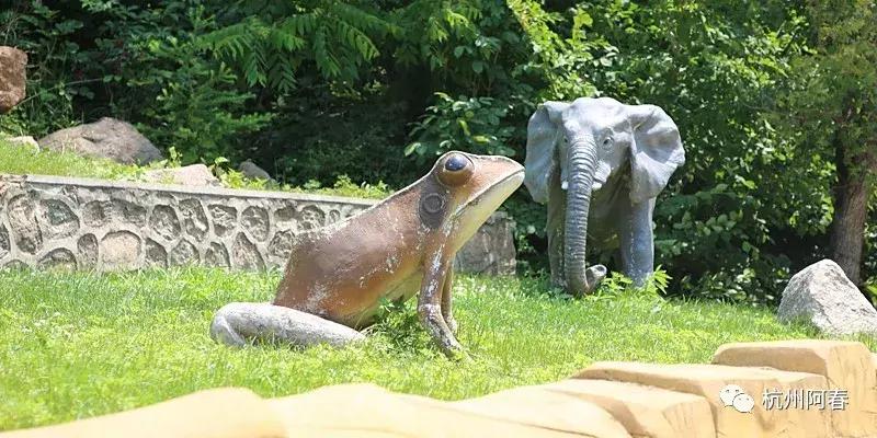 神游生态馆,抚顺新宾猴石森林公园天气预报