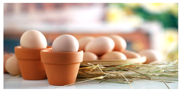 葡萄籽保健品吃下去能消化吗,鱼油和葡萄籽胶囊能同时服用吗