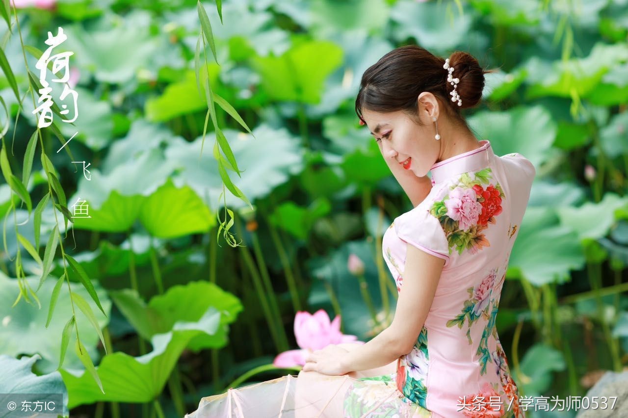 咏荷诗词精选,古今咏荷的诗或词