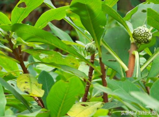 45―59岁为“生命高危期”，“三防”“三戒”指什么？