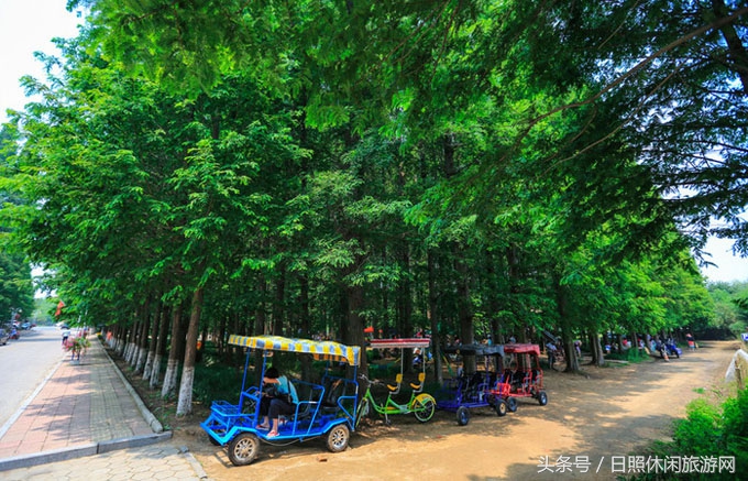 日照的风景真美,日照的景色真美