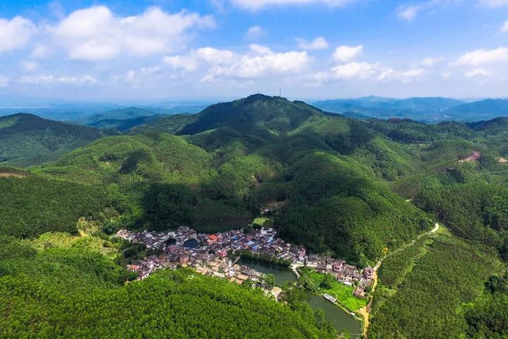 3万多亩的“天然氧吧”!人民日报整版报道佛山这座“中国最美林场”