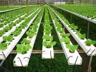 做农业都是为了赚钱别谈什么情怀,做农业为什么要有情怀