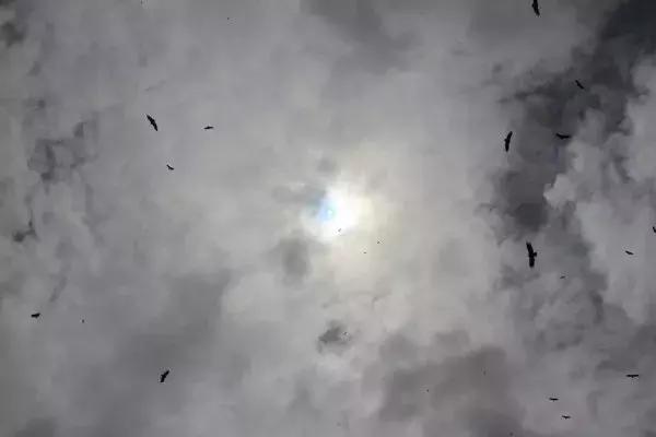 中国四川旅游看世界级的美景和可爱大熊猫,品尝当地火辣的美食!