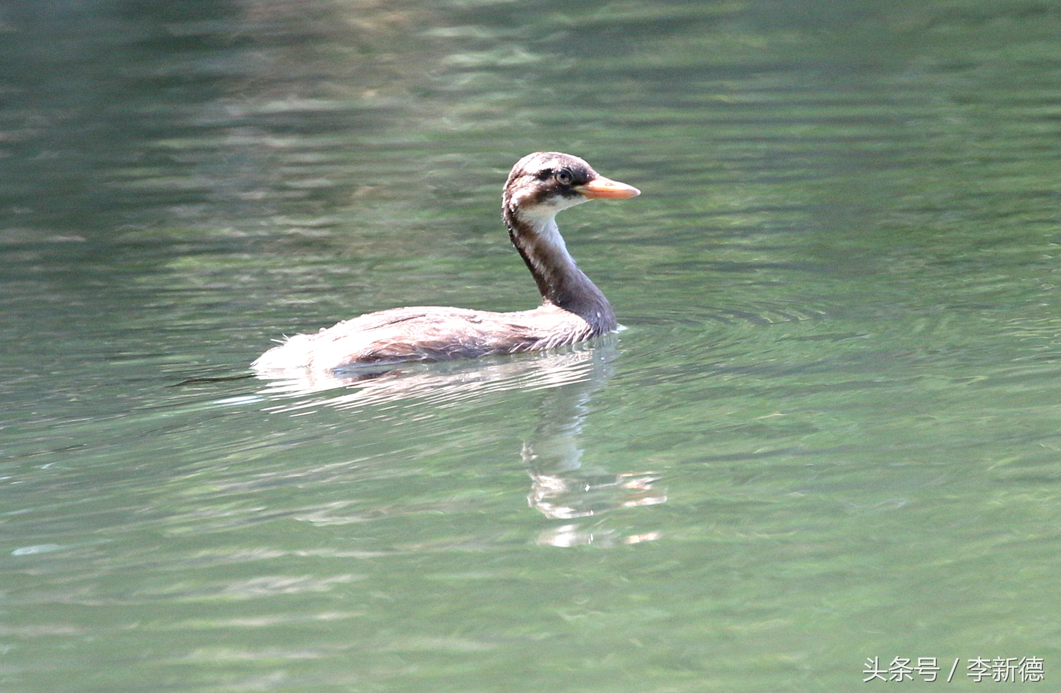 佳能5d3配24105镜头拍人像,佳能5d3501.8镜头拍合照