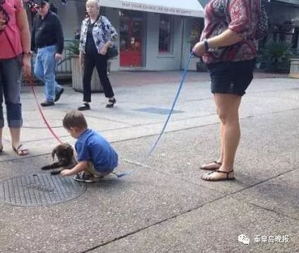 花式遛娃完整视频,马尔代夫花式遛娃视频