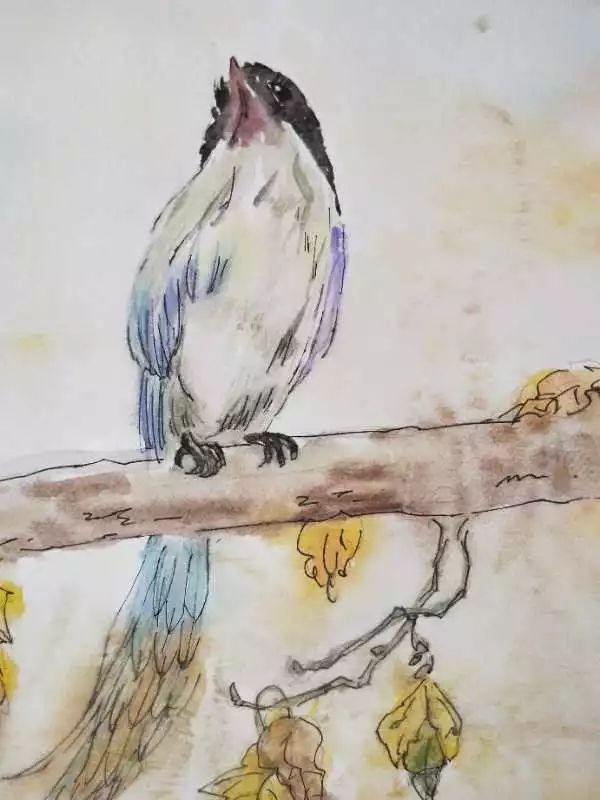 绘画是表达内心想法最纯粹的语言,绘画真的能滋养人的心灵