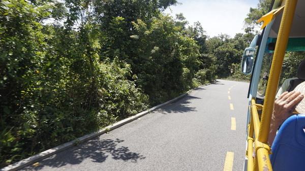 一个人的旅行由风决定,一个人的旅行头像