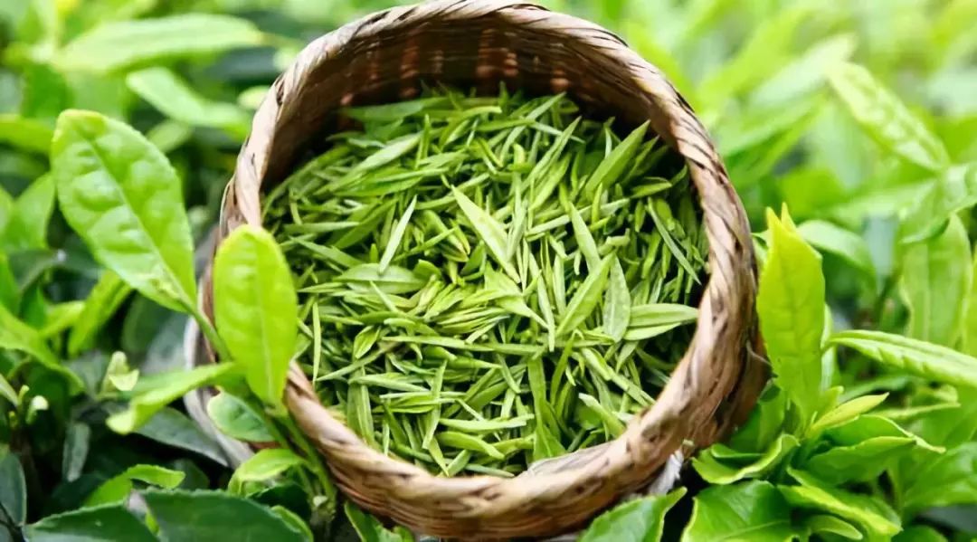 湖北42个示范村名单,湖北省重磅村名单