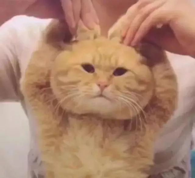 内地入境香港通关最新通告,香港逗留超过7天会罚款多少