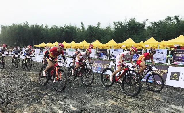 浙体产业周刊｜浙体产业一周资讯速递2018-020