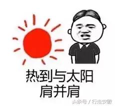 焦岗湖荷花节时间,淮南焦岗湖旅游风景区