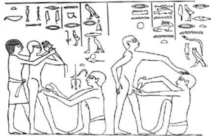 “阴茎癌”是保还是切