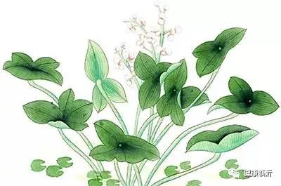 冬病夏治能治什么,艾灸夏病冬治的最佳时间