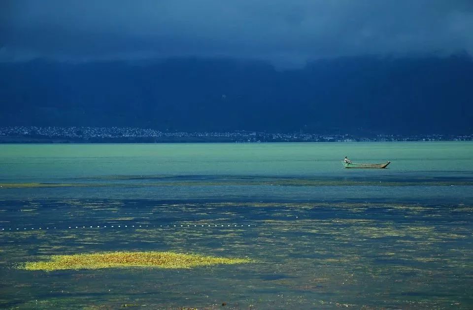 美到窒息的夏日洱海,在这个浪漫的夏天遇见你