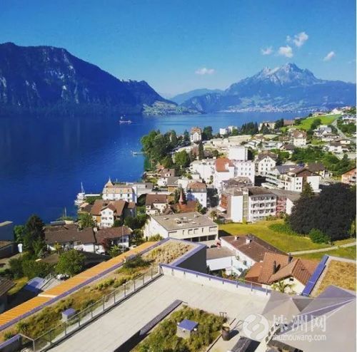 游客因为拍照而被罚款？这个国家景色到底有多美，才敢这么傲娇……