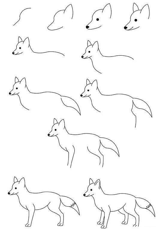 1000000个可爱动物简笔画,10000种超萌动物简笔画大全