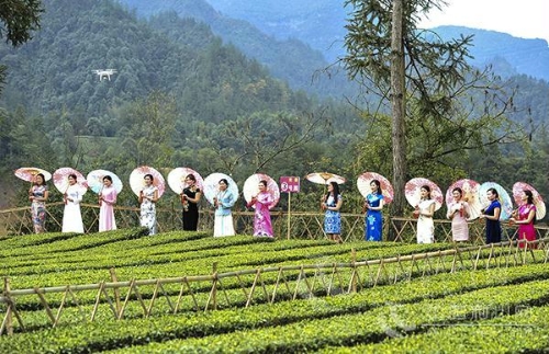 作家俞梁波：从萧山到利川，我走进“绿世界”