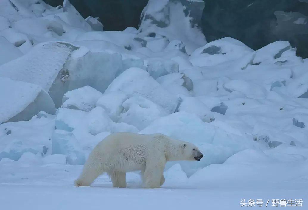 世界上有哪些人类禁地,世界上有秘境吗