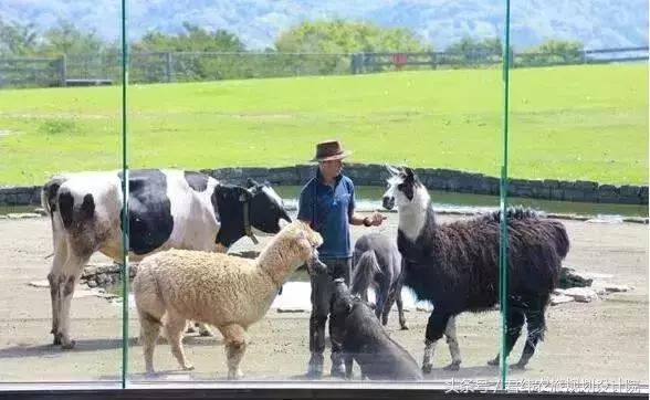 亲子牧场的标杆，看看这家年入2亿的母亲牧场是怎么做到的