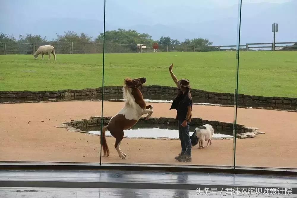 亲子牧场的标杆，看看这家年入2亿的母亲牧场是怎么做到的