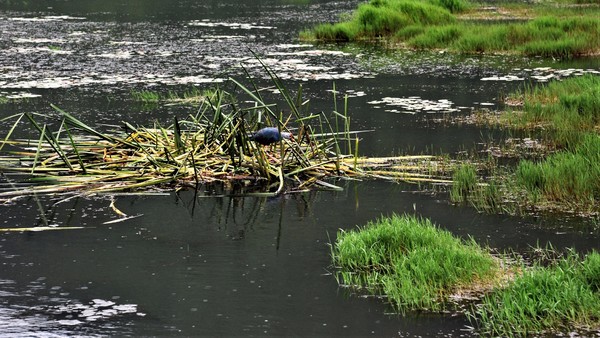 腾冲凤凰宝集泡温泉,腾冲民宿泡温泉推荐