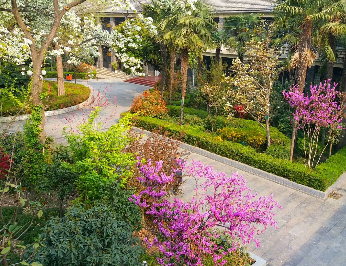 西安市第十中学招生条件,西安市第十中学省示范