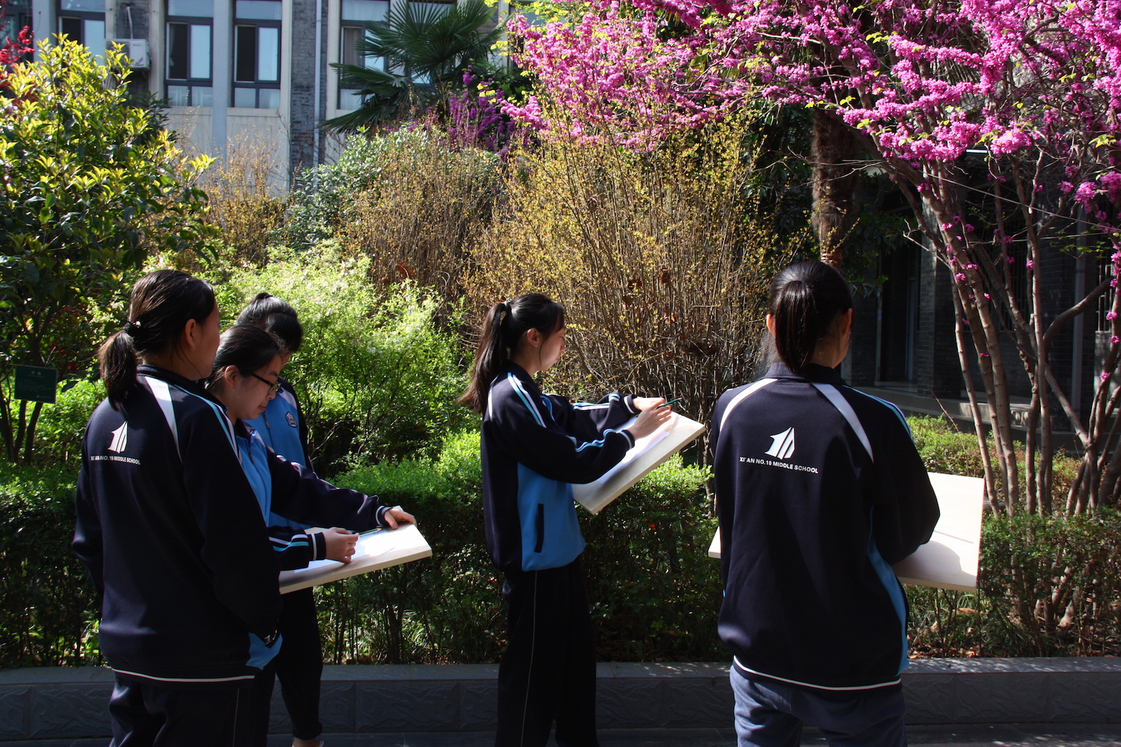 西安市第十中学招生条件,西安市第十中学省示范
