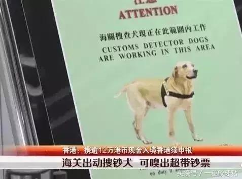 去香港什么情况下会被罚款,入境香港被抓罚款