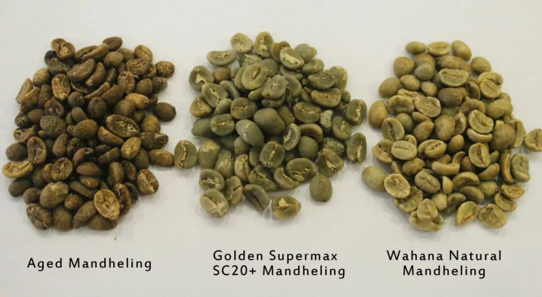 咖啡曼特宁风味和蓝山风味,咖啡曼特宁和意式蓝山