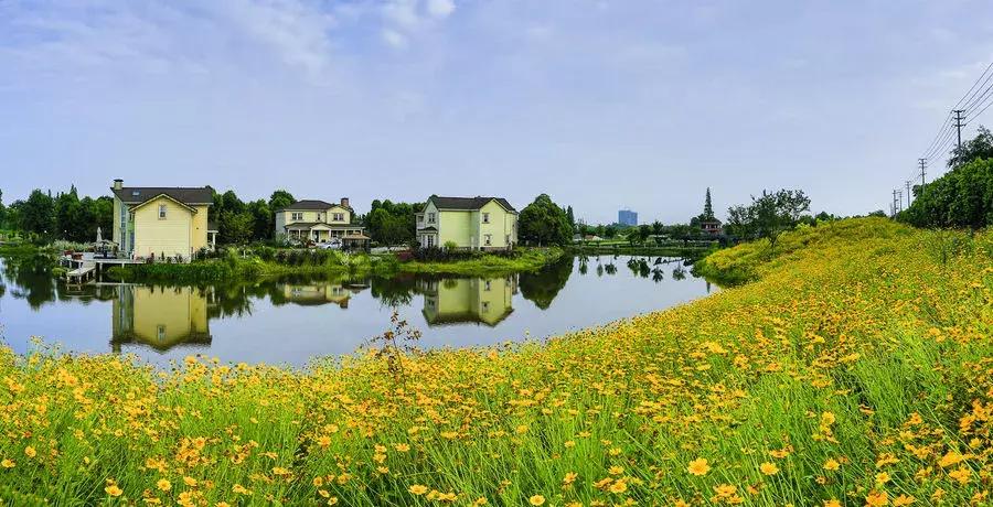 近期成都房价有什么变化,成都各区县10月房价数据公布