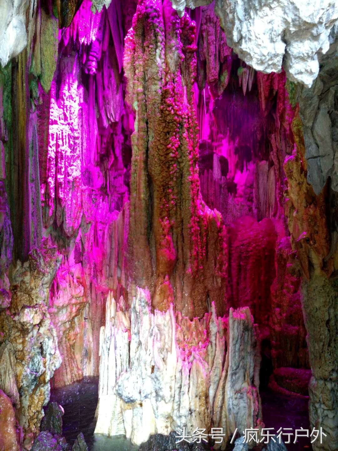 最真实的岭南园林,岭南著名园林