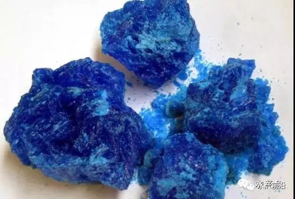 鱼敏感用什么药最好,淡水鱼敏感