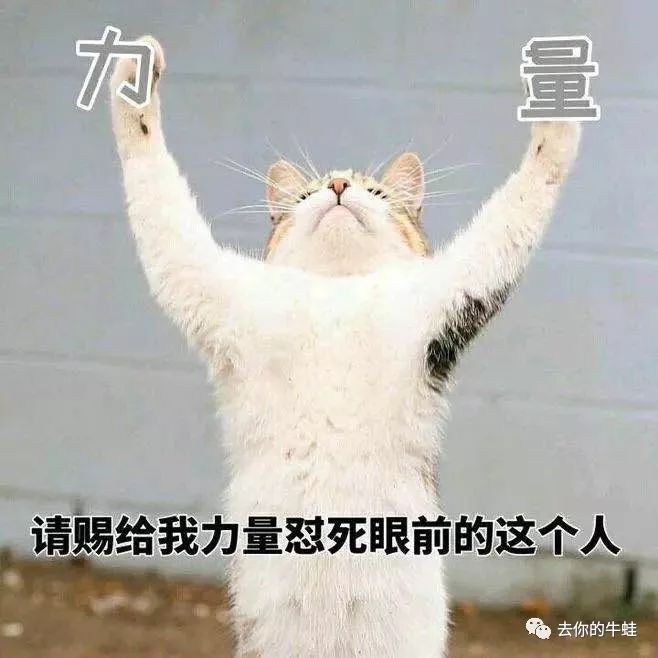 鎶婁腑鑰冨綋鎴愪笘鐣屾澂鍐宠禌,鎶婇珮鑰冨綋浣滀笘鐣屾澂