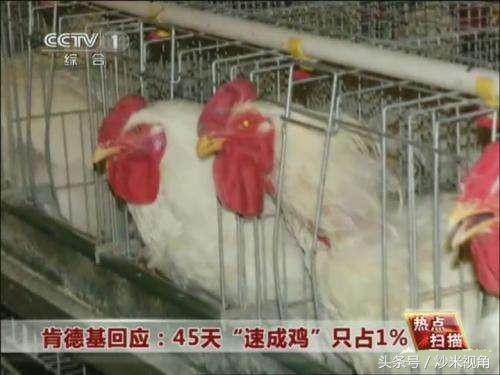 假如世界上真的有丧尸会怎样,如果世界上真的有丧尸