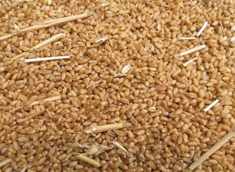 农业特产税是哪一年开始征的,农业产品现在的税率是多少