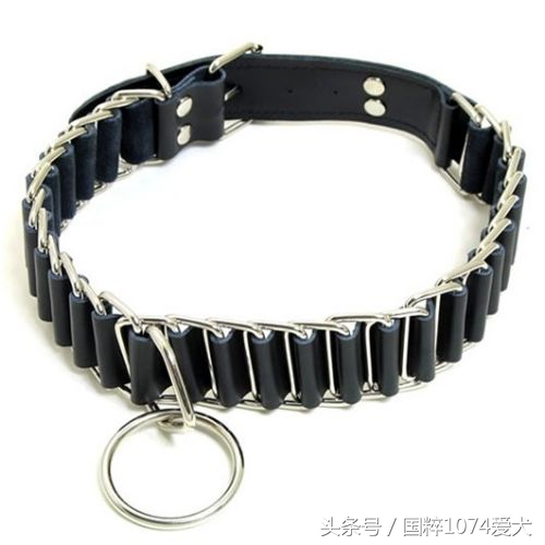 狗子不听话要怎么惩罚,不听话的狗子怎么教